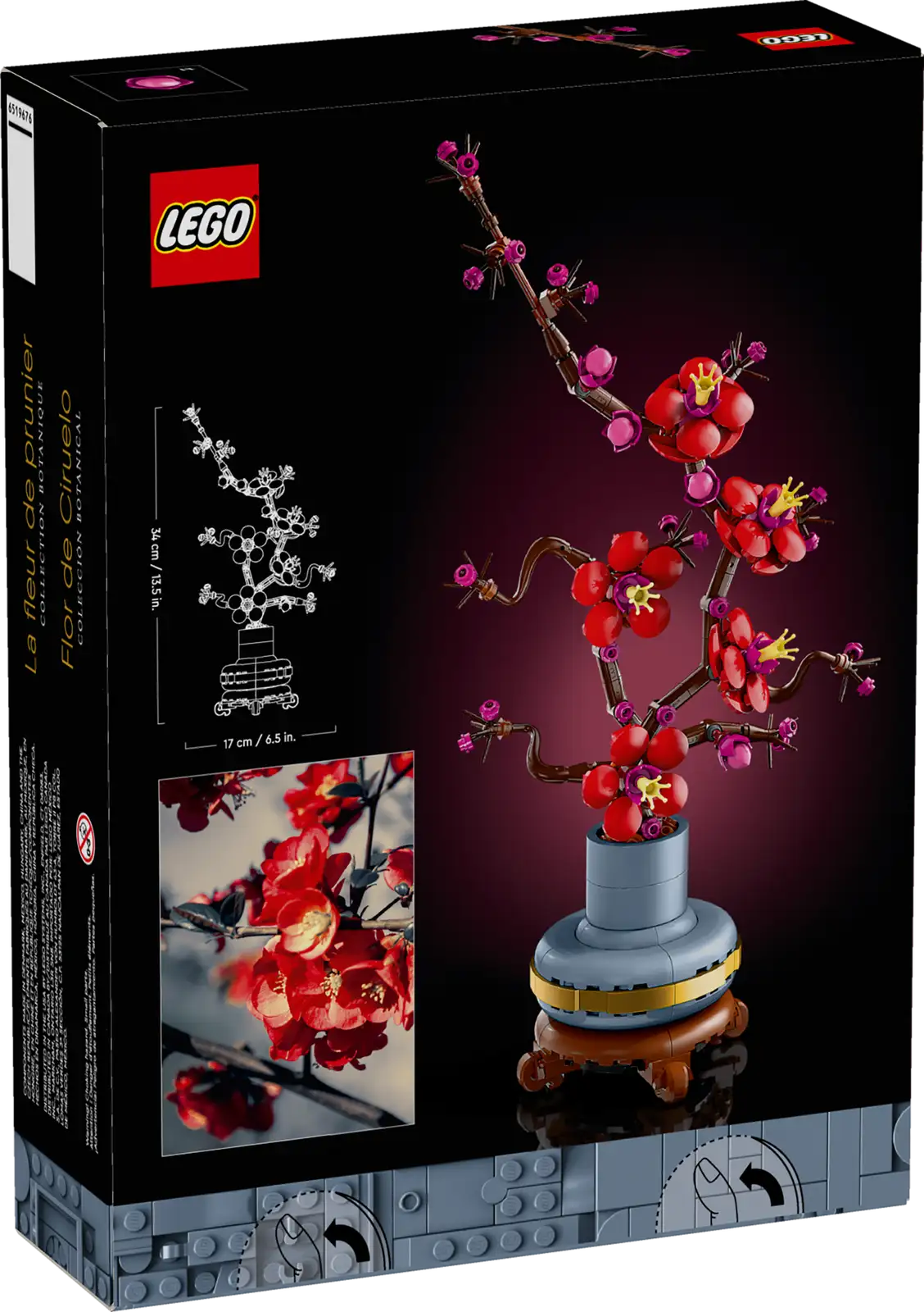 BOTANICALS - Plum Blossom