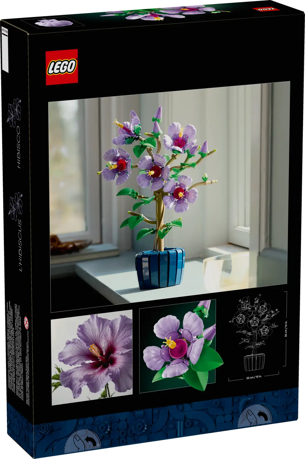 BOTANICALS - Hibiscus