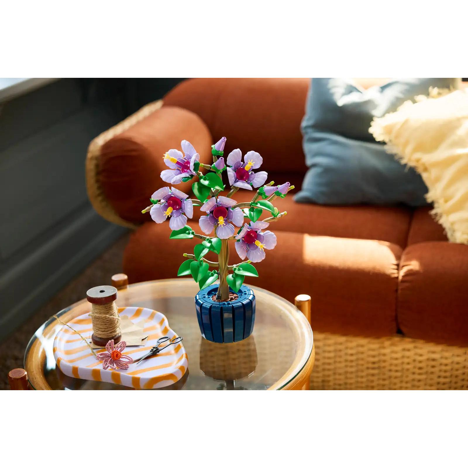 BOTANICALS - Hibiscus