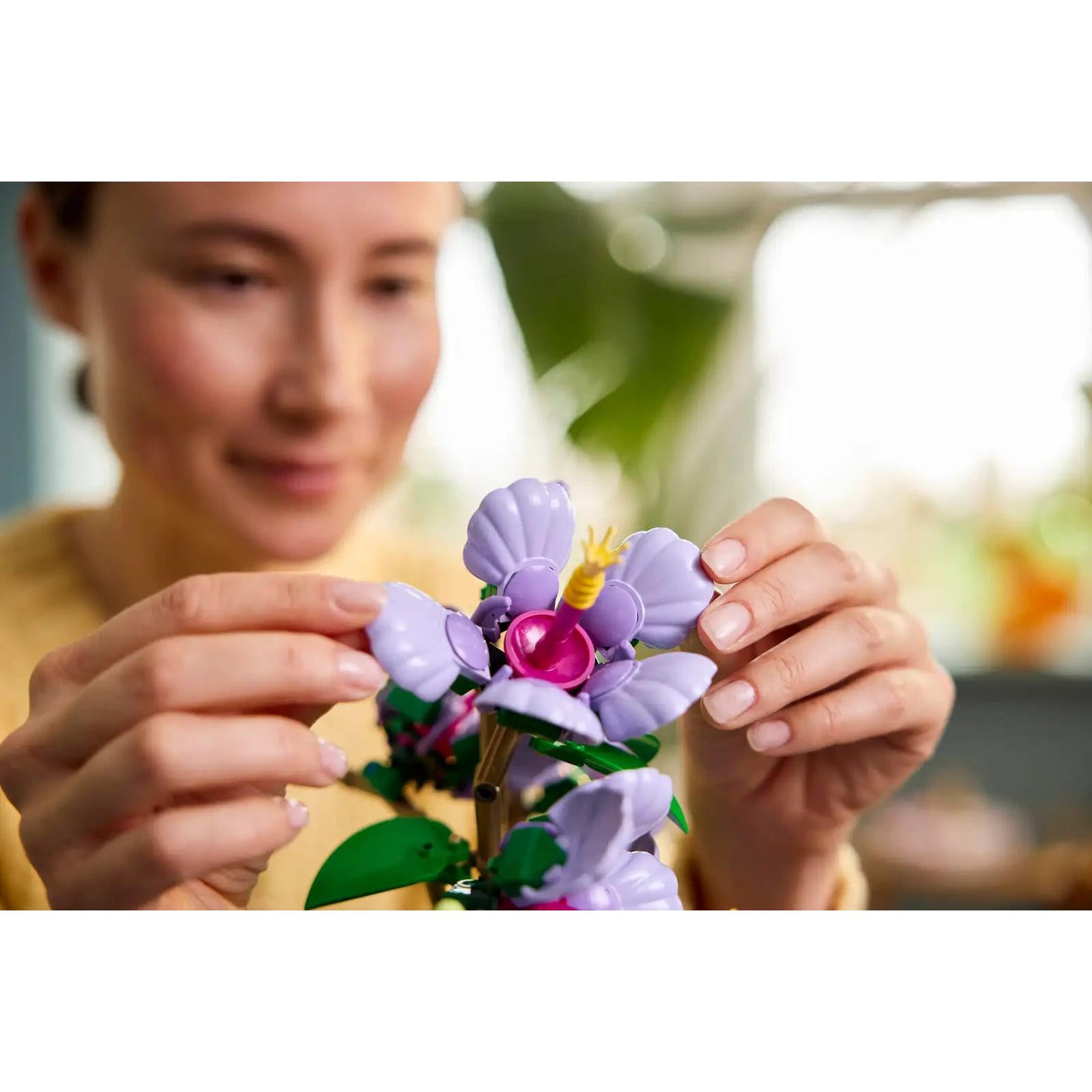 BOTANICALS - Hibiscus