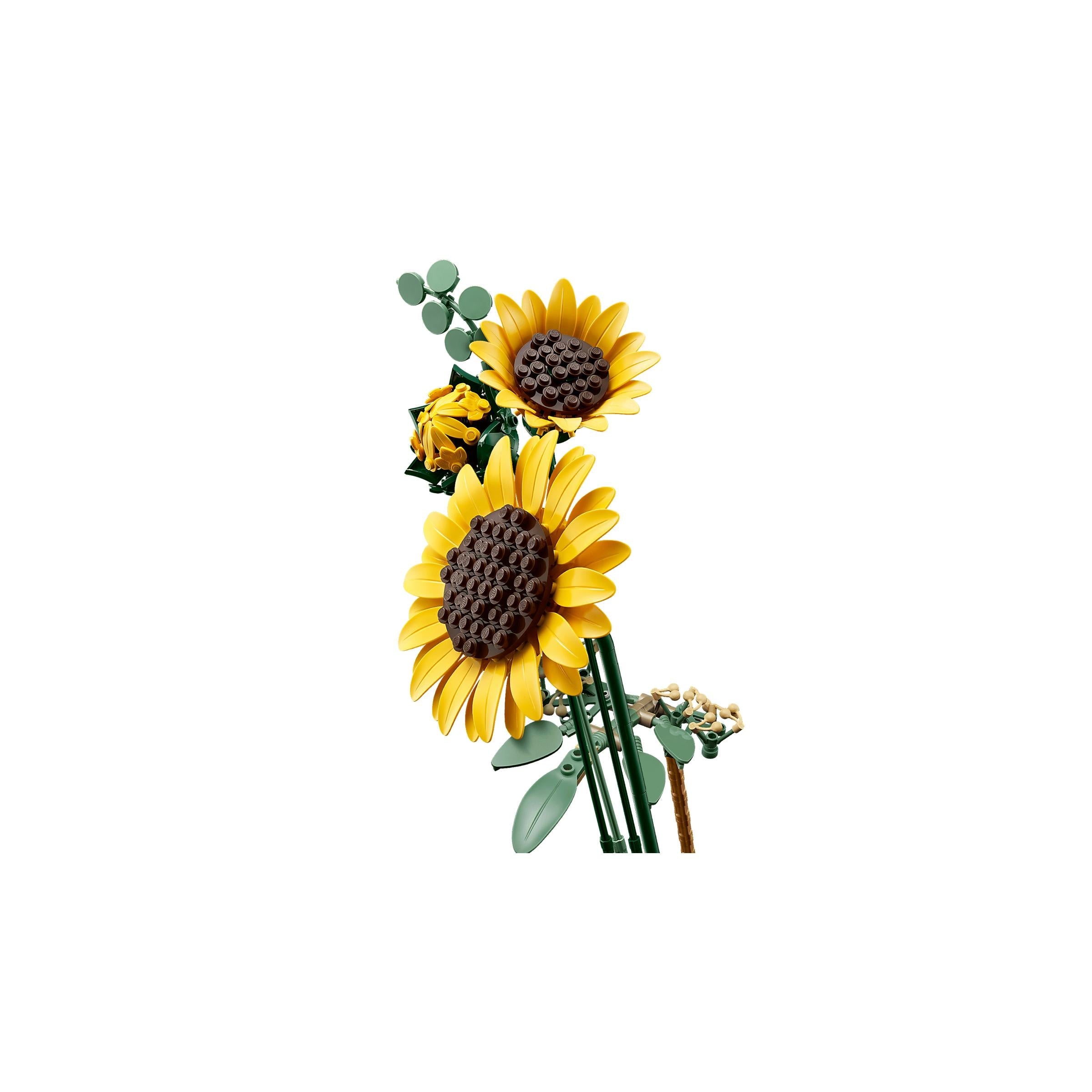 BOTANICALS - Sunflower Bouquet