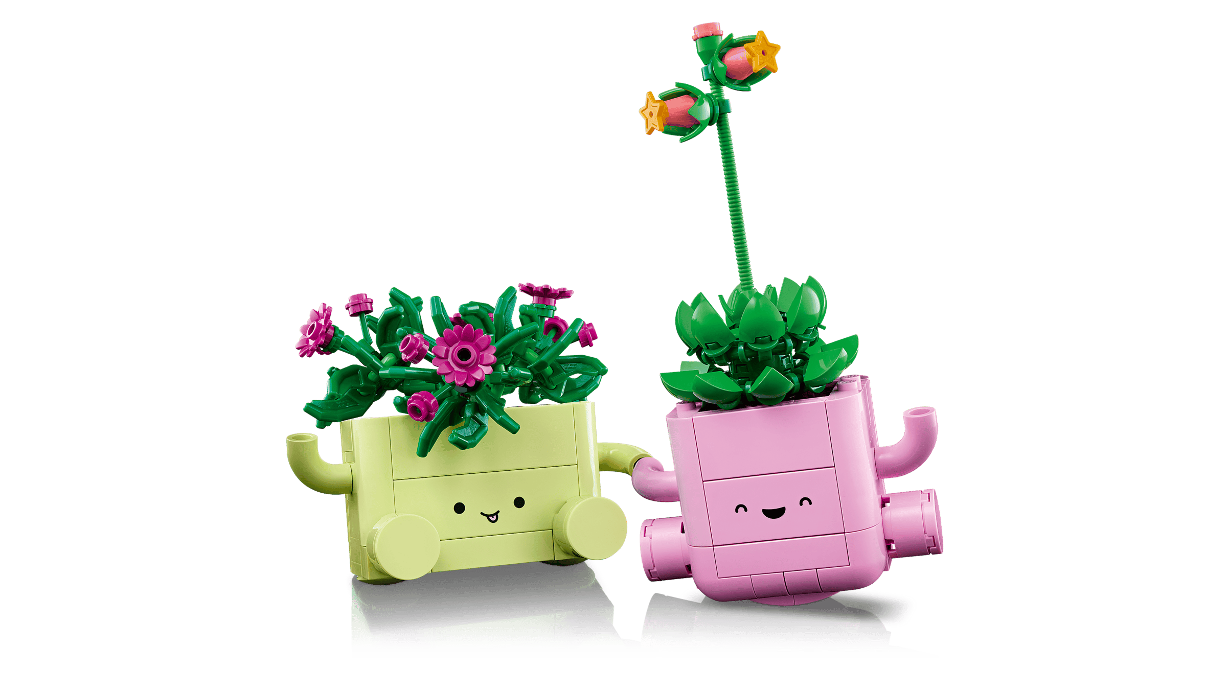 BOTANICALS - Rocking Plants