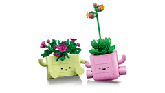 BOTANICALS - Rocking Plants