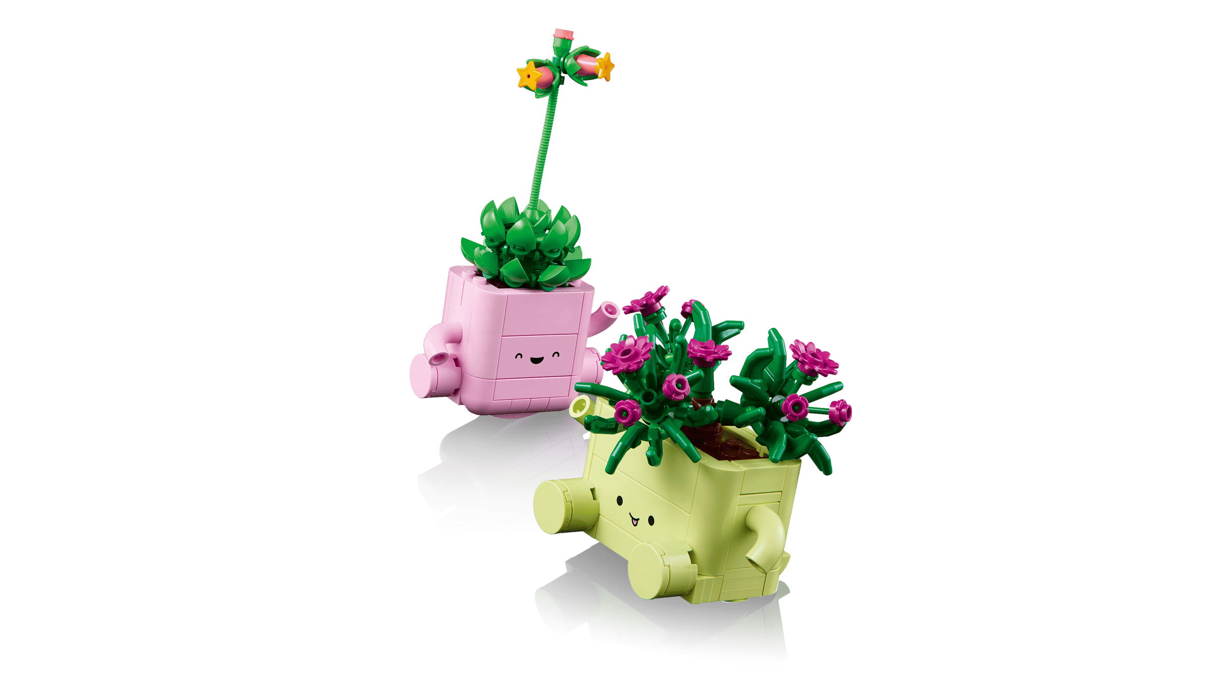 BOTANICALS - Rocking Plants