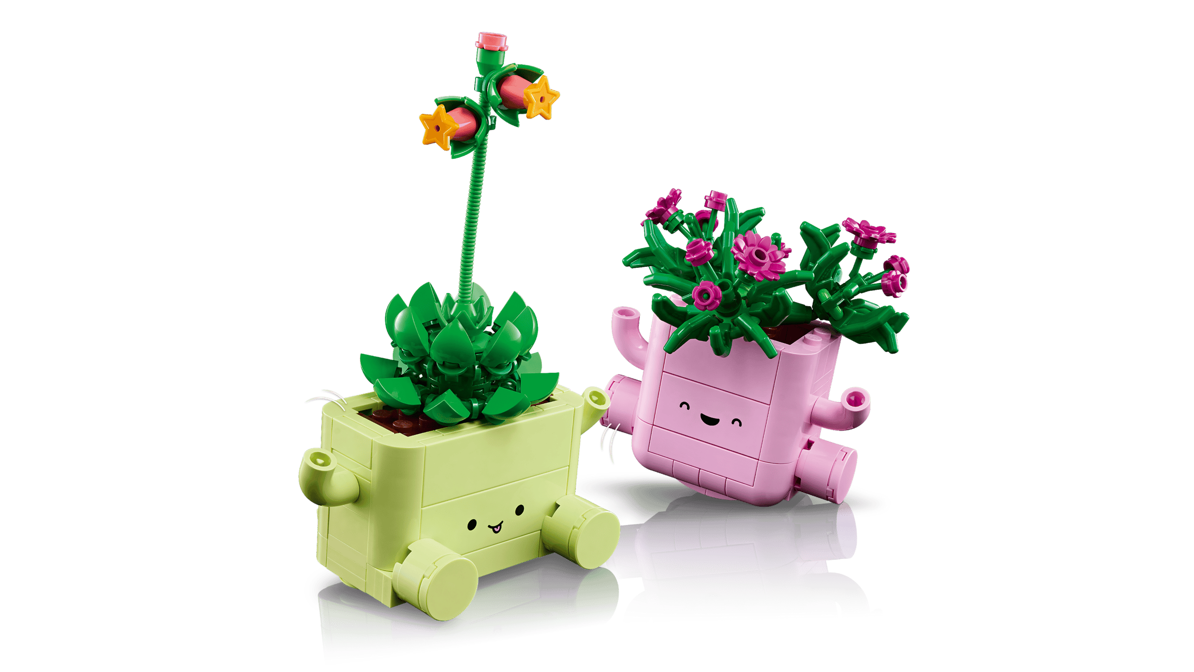 BOTANICALS - Rocking Plants