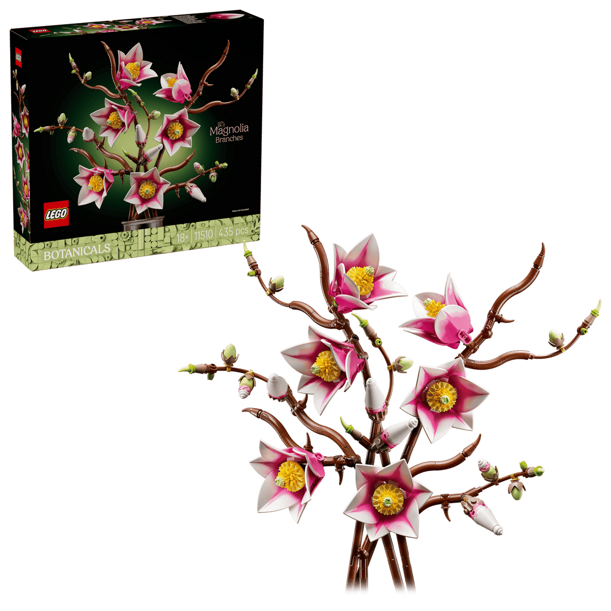 BOTANICALS - Magnolia Branches