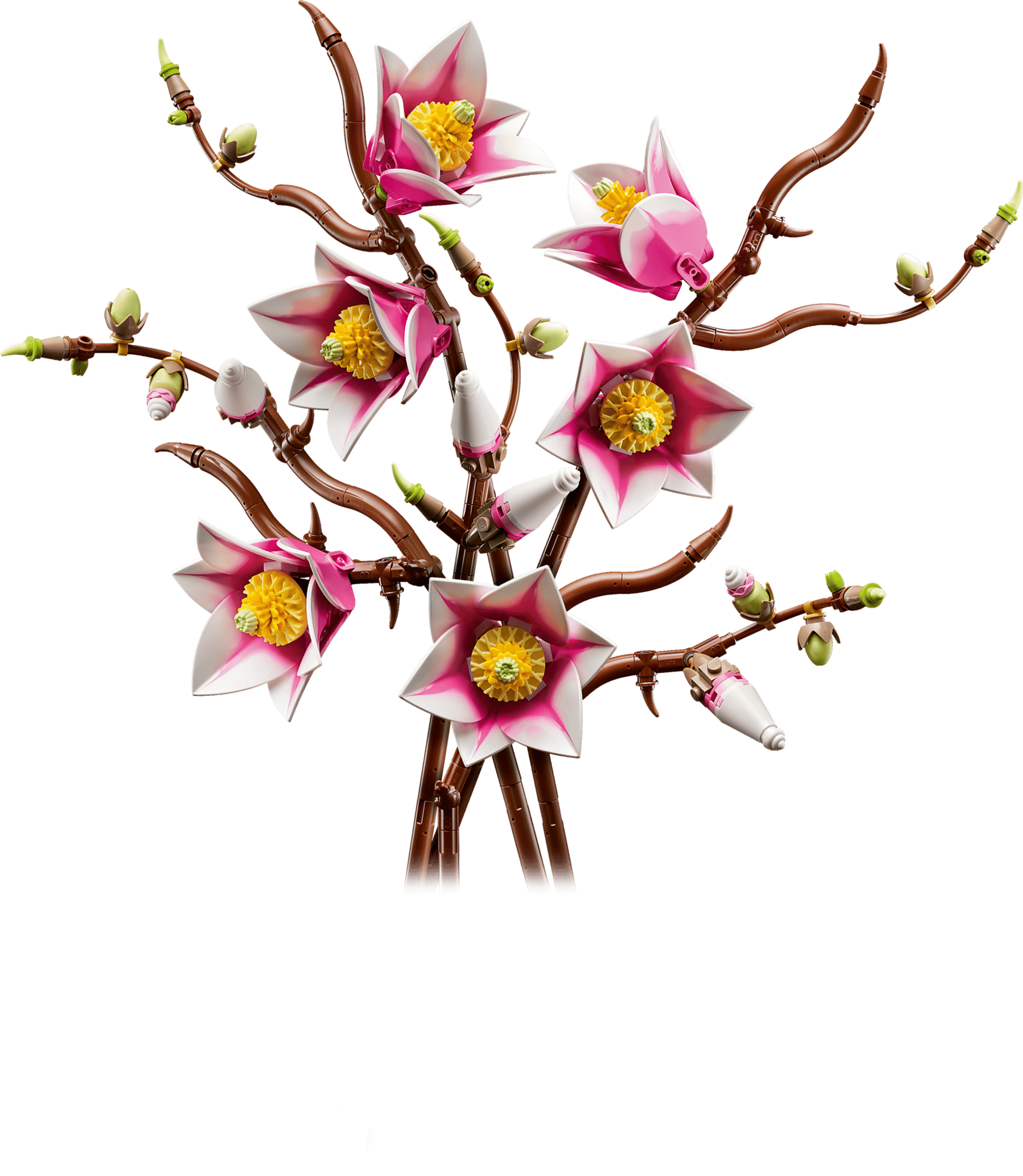 BOTANICALS - Magnolia Branches