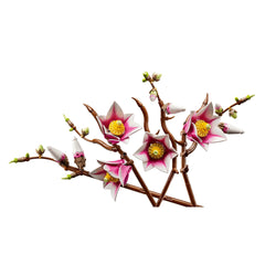 BOTANICALS - Magnolia Branches