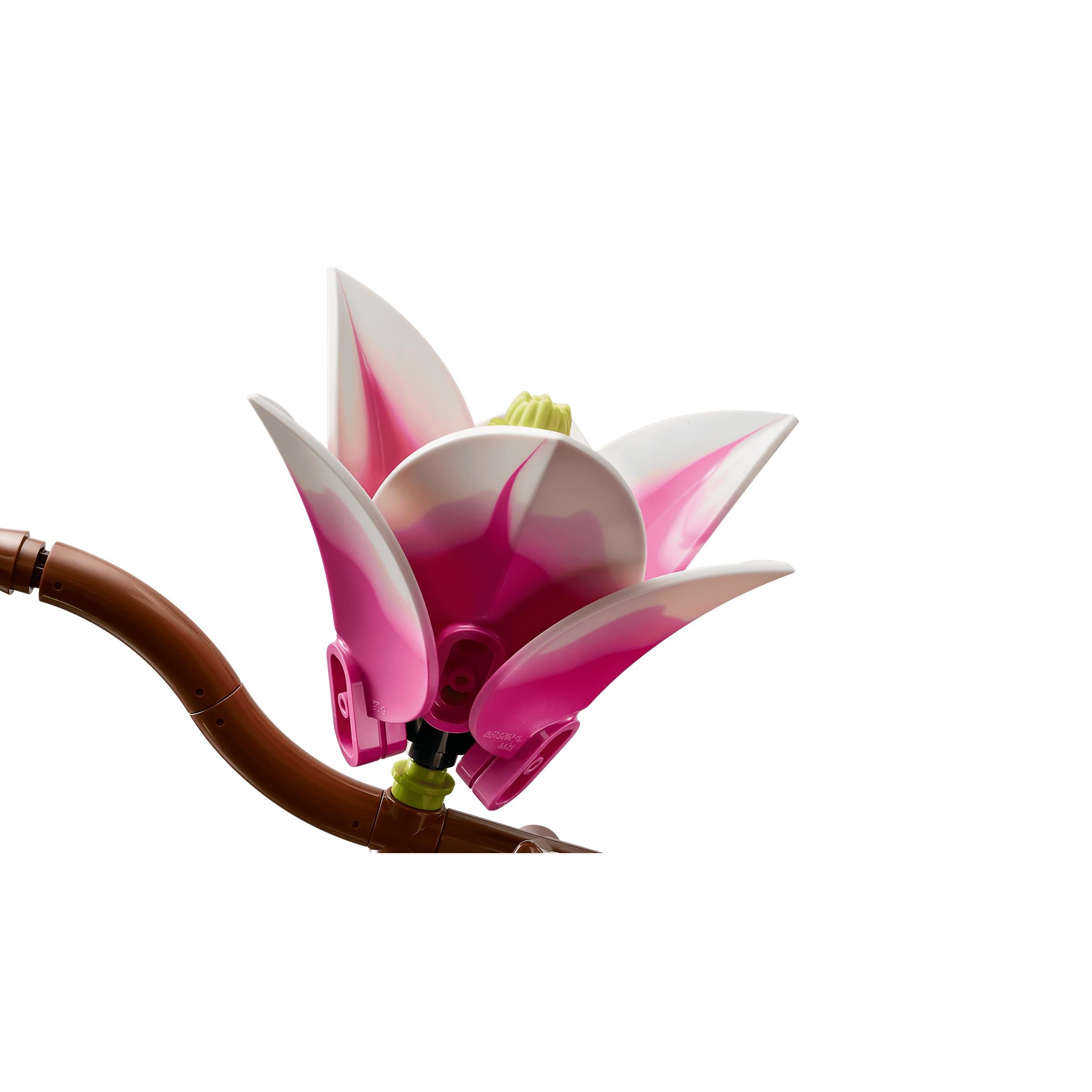 BOTANICALS - Magnolia Branches