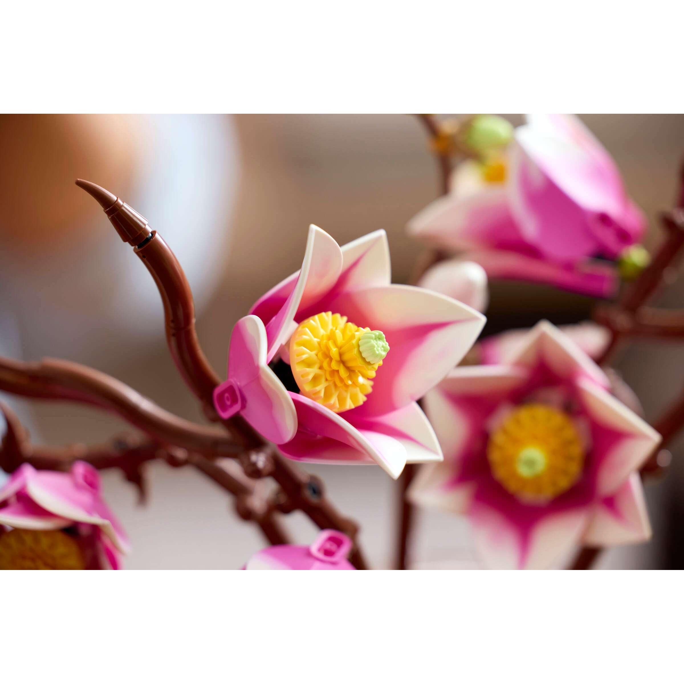 BOTANICALS - Magnolia Branches