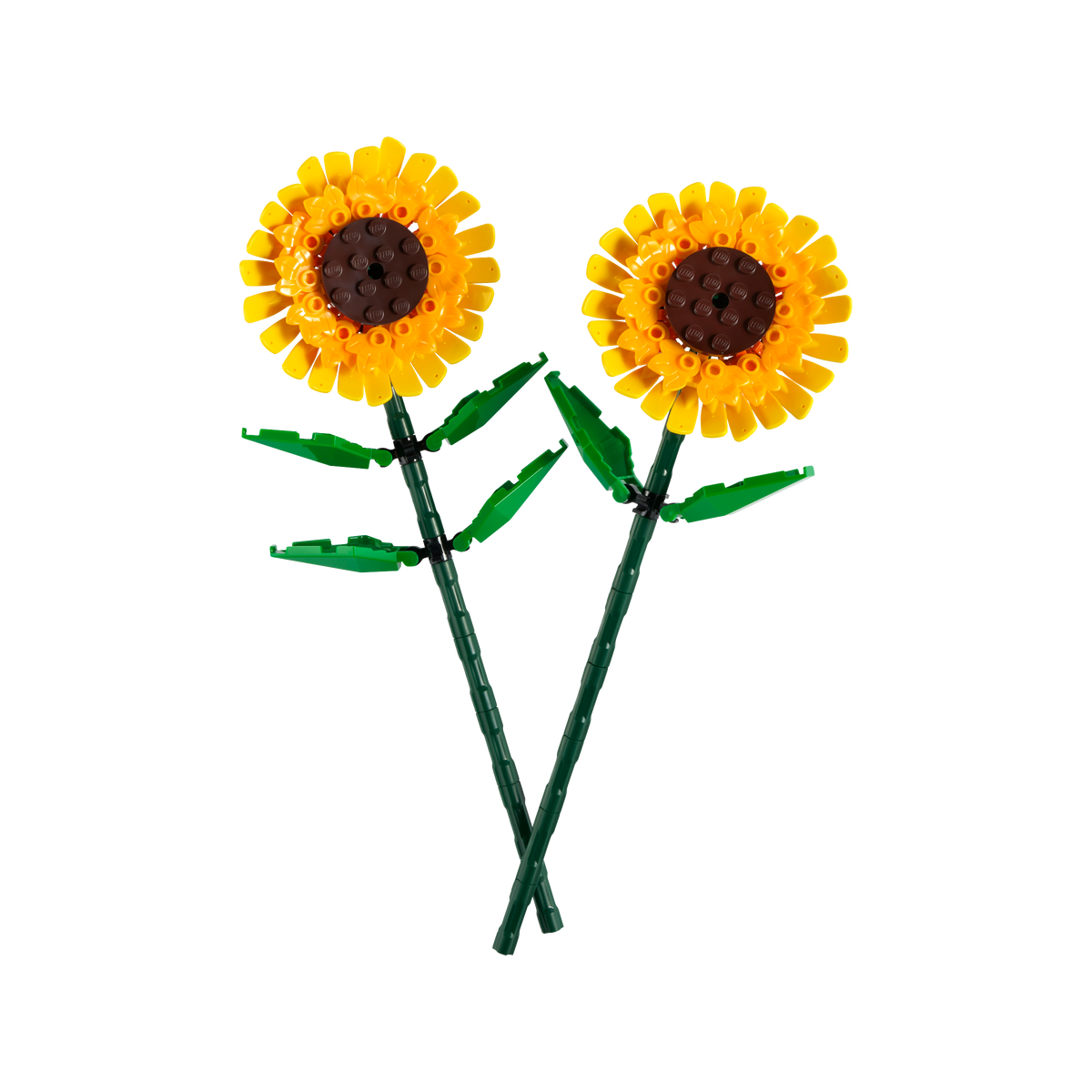 OTHER - Sunflowers