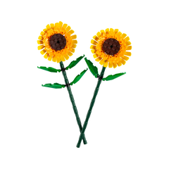 OTHER - Sunflowers