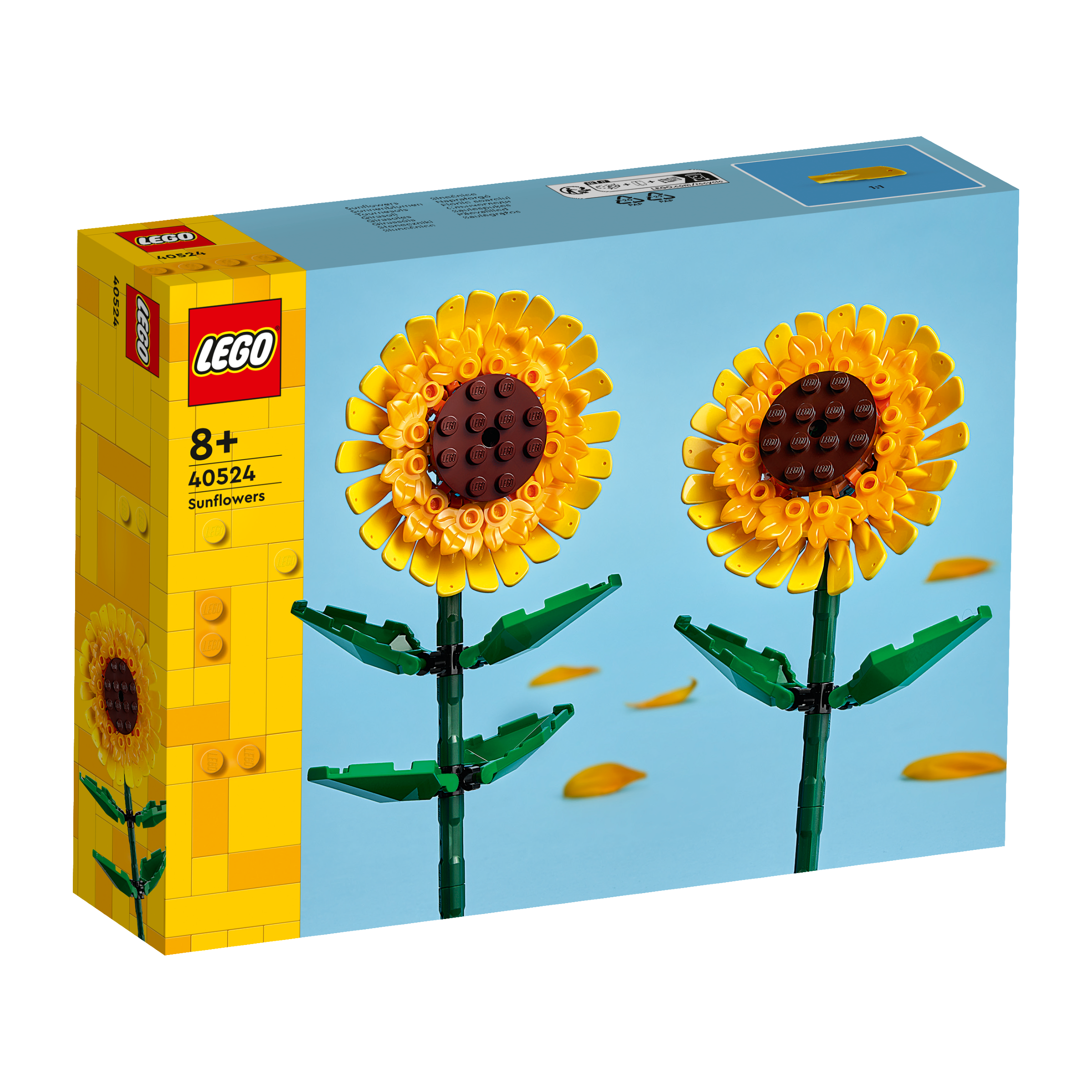 OTHER - Sunflowers