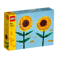 OTHER - Sunflowers