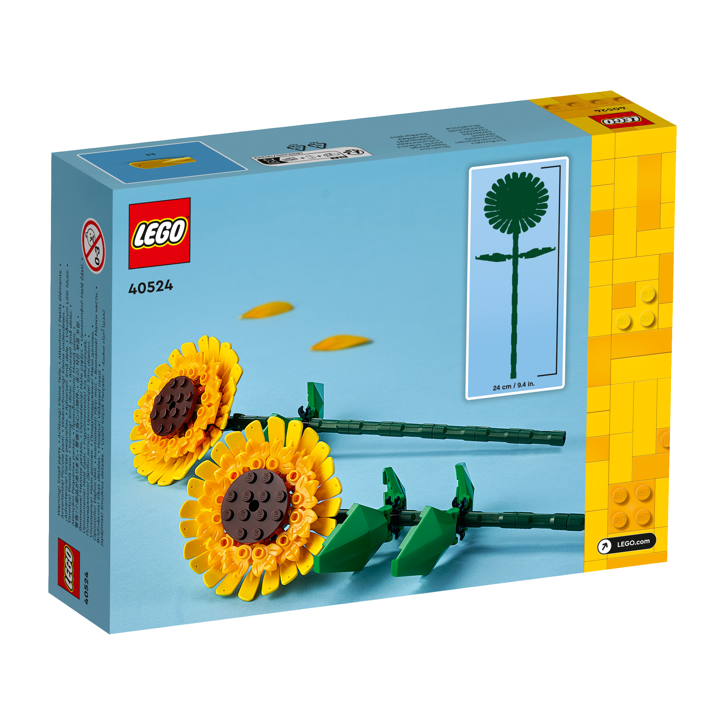OTHER - Sunflowers