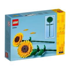 OTHER - Sunflowers