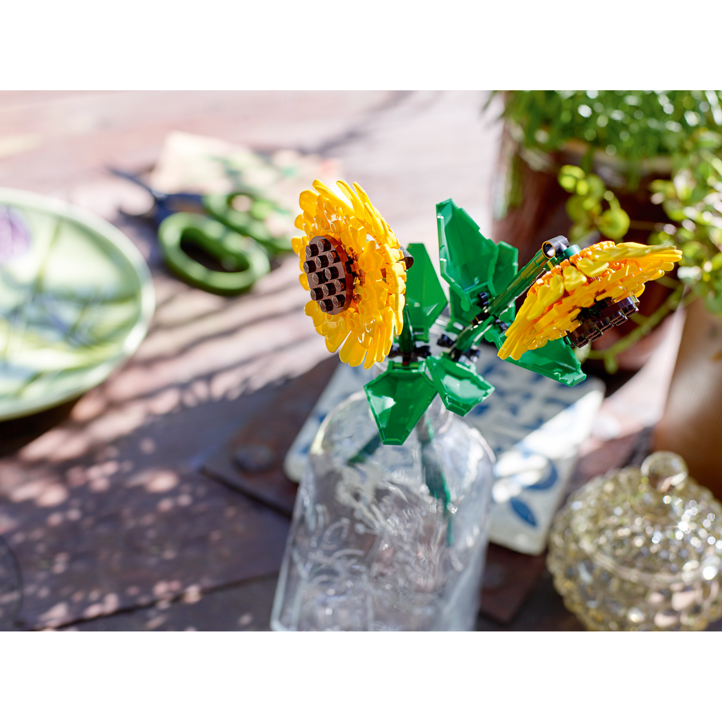 OTHER - Sunflowers