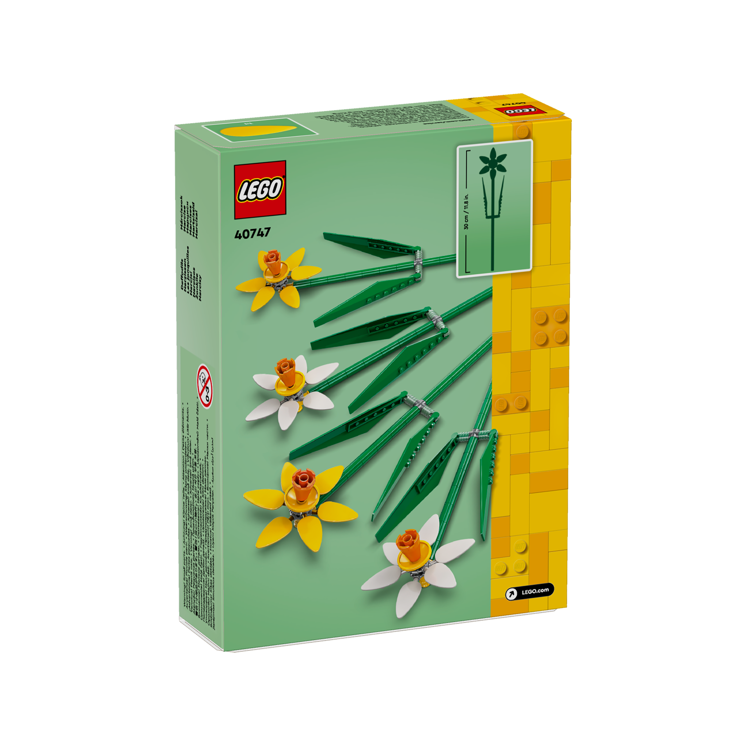 OTHER - Daffodils