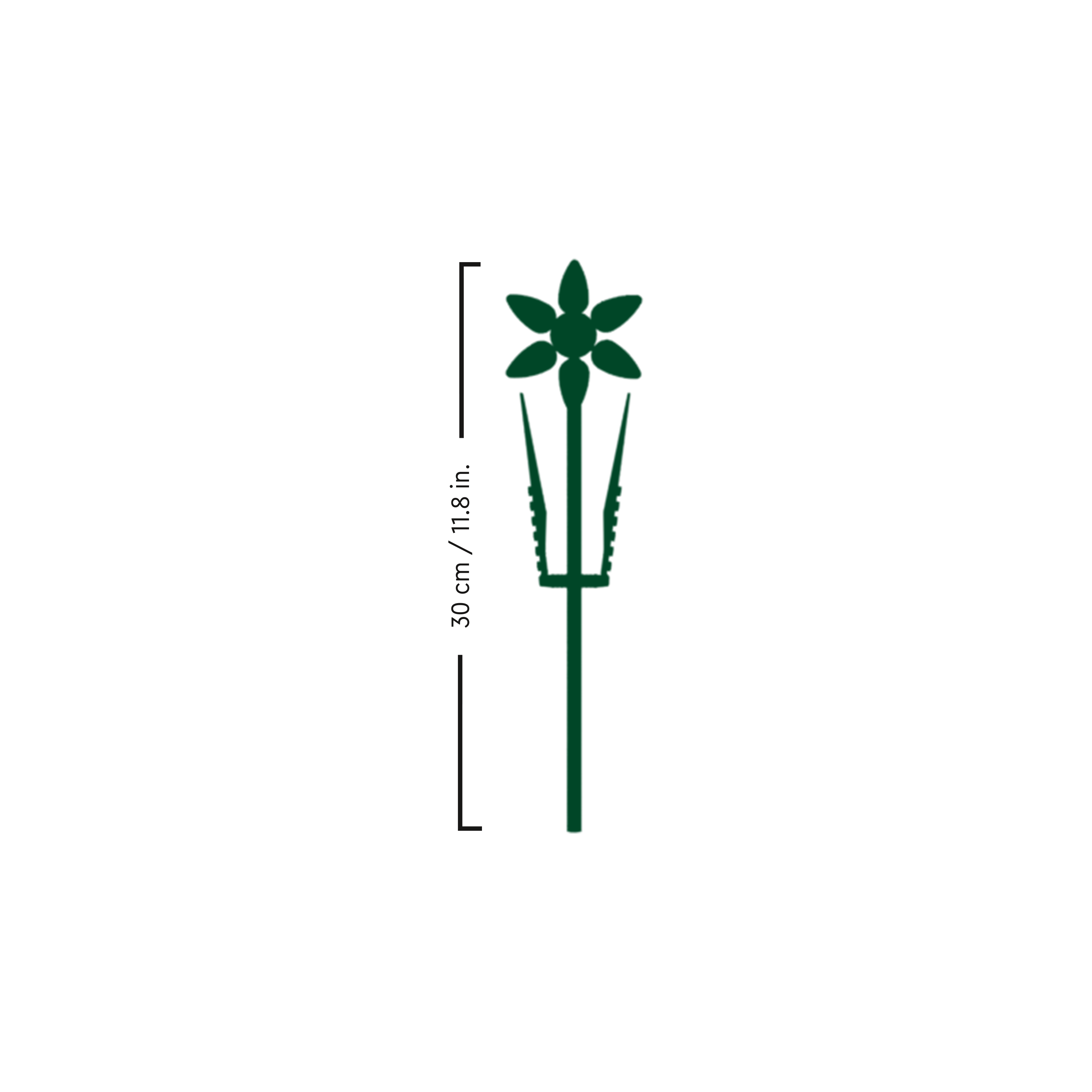 OTHER - Daffodils