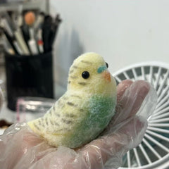 Parrot Taba Squishy Toy